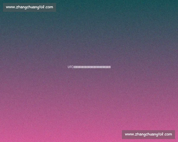 UFC巅峰对决凯恩贝拉斯奎兹对阵布洛克莱斯纳历史之战解析